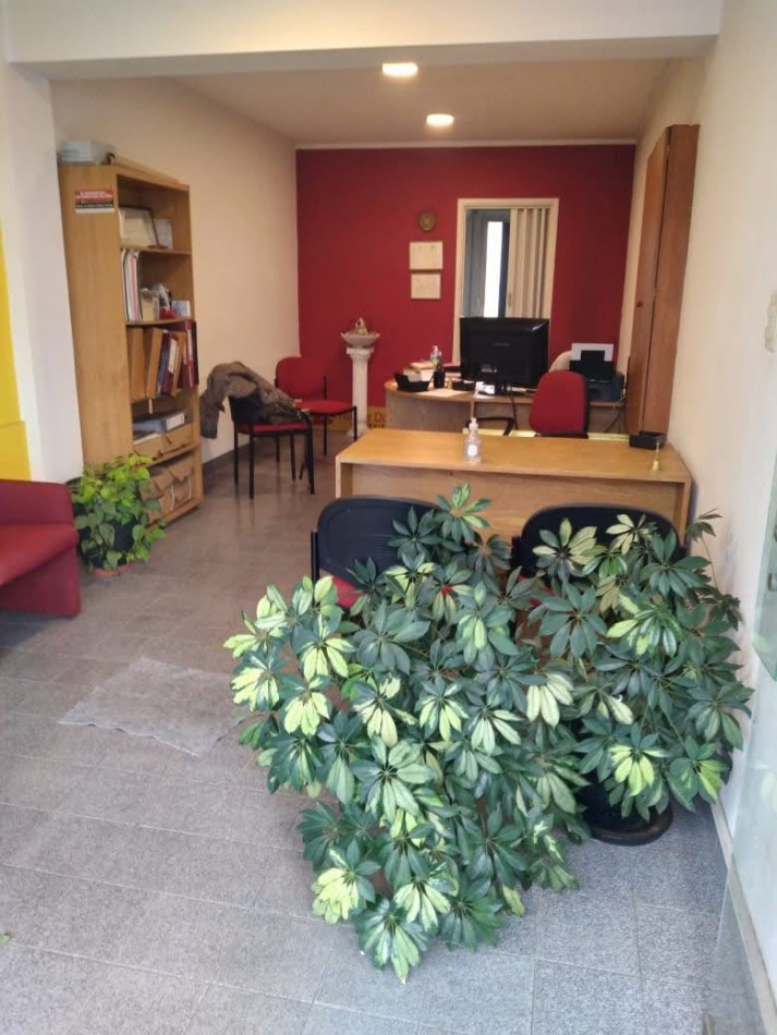 Local Comercial - Macrocentro